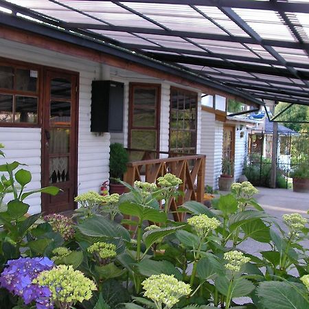 Complejo Cabanas Petalos Villarrica Eksteriør billede