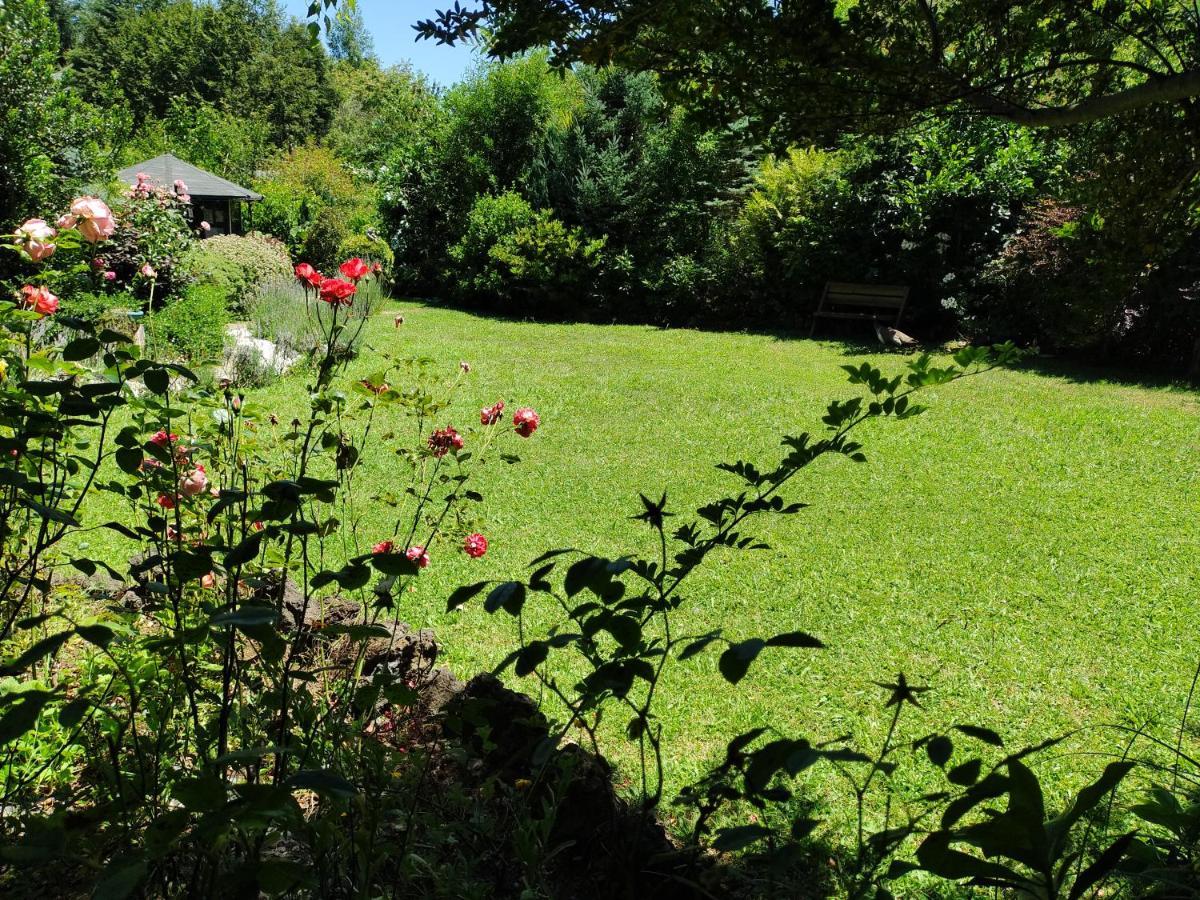 Complejo Cabanas Petalos Villarrica Eksteriør billede