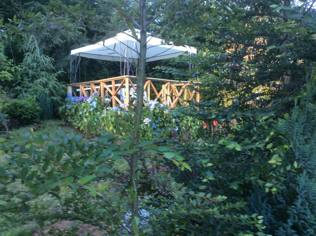 Complejo Cabanas Petalos Villarrica Eksteriør billede