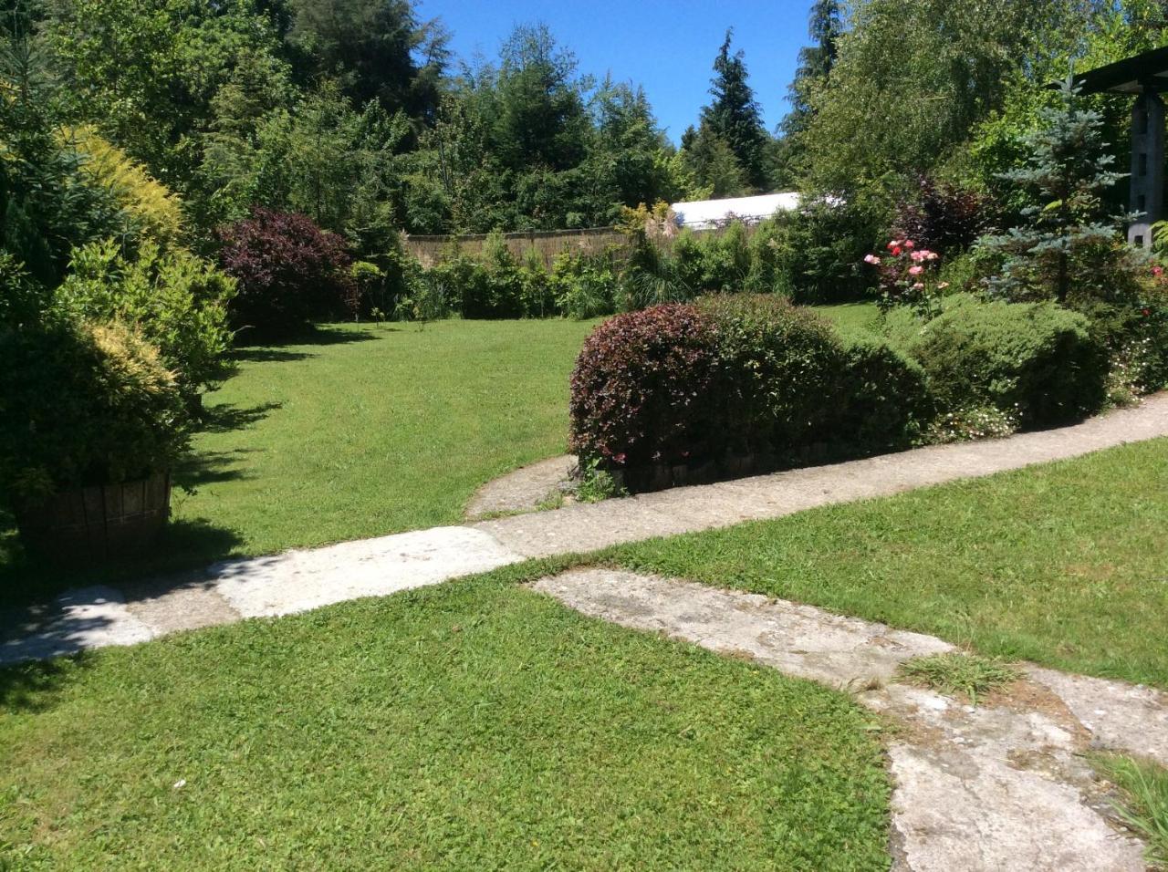 Complejo Cabanas Petalos Villarrica Eksteriør billede